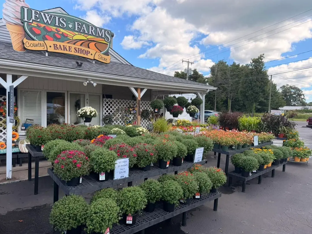 Lewis Farms Bakery near Wolcott, CT