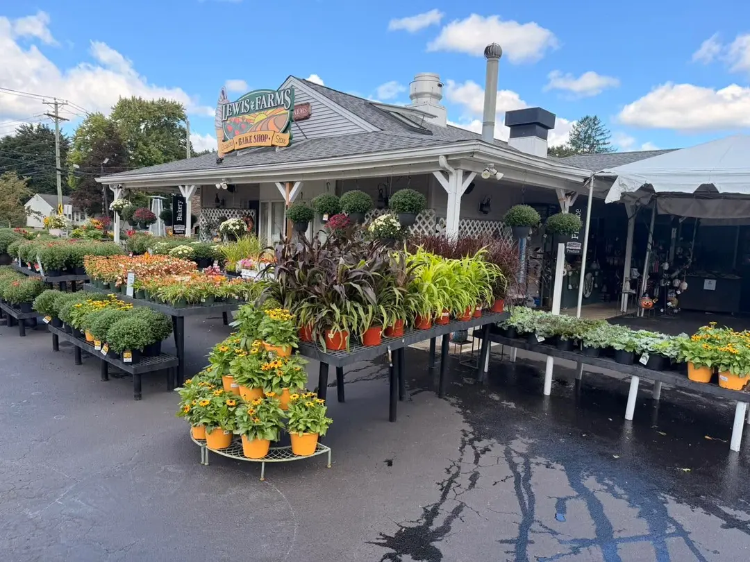 Lewis Farms Bakery in Southington, CT