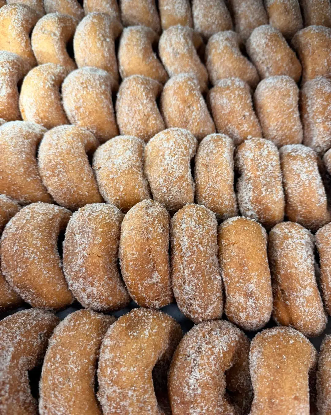 Rows of cinnamon sugar donuts